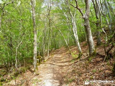 Cañones Ebro, Alto Campoo, Brañosera,Valderredible; excursiones turismo las excursiones abril viaj